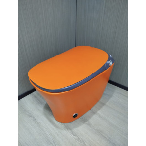 Inodoro Naranja - Z001