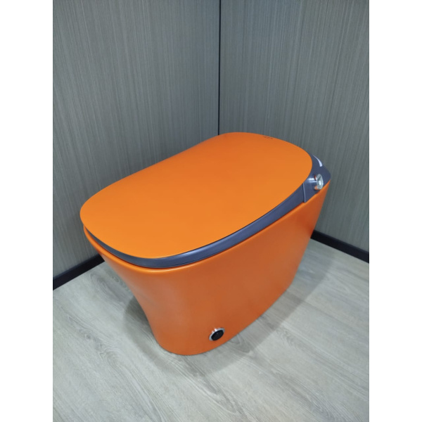 Inodoro Naranja - Z001